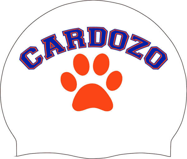 Cardozo swimming enters 2017 season with high expectations
