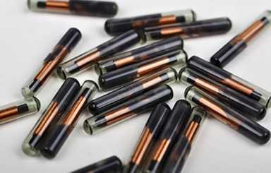 Avella moves to bar employers from implanting staff with microchips