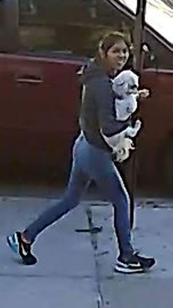 Woman steals dog in broad daylight in North Corona: NYPD