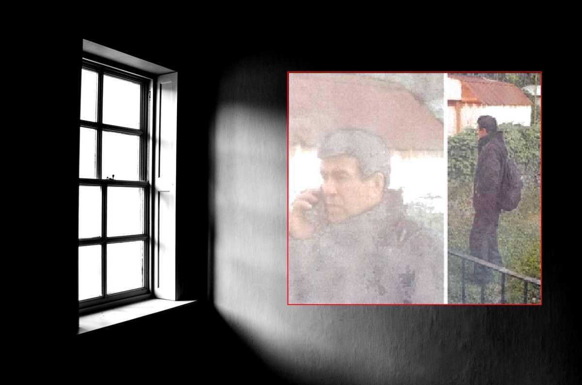Bayside burglar