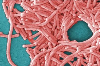 Another Legionnaires’ disease case reported in Flushing as outbreak appears to be ending