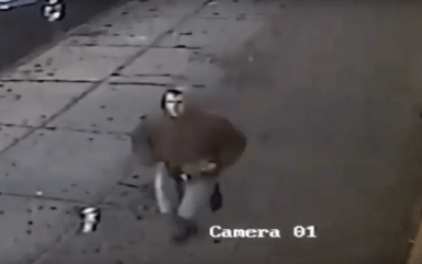 102 subway purse thief