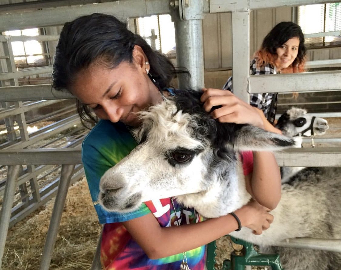 Emily Ramprashad (2)