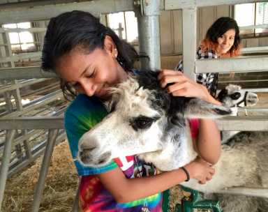 Emily Ramprashad (2)