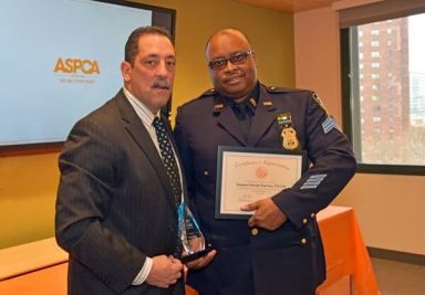 Queens cops recognized for animal rescues