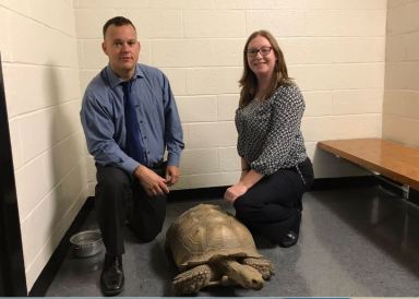 The 111th Precinct Detective Squad recovered Millenium the tortoise after he was stolen from the Alley Pond Environmental Center in July.