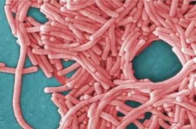 NYC Legionnaires cases spiked 65 percent in 2017: Report