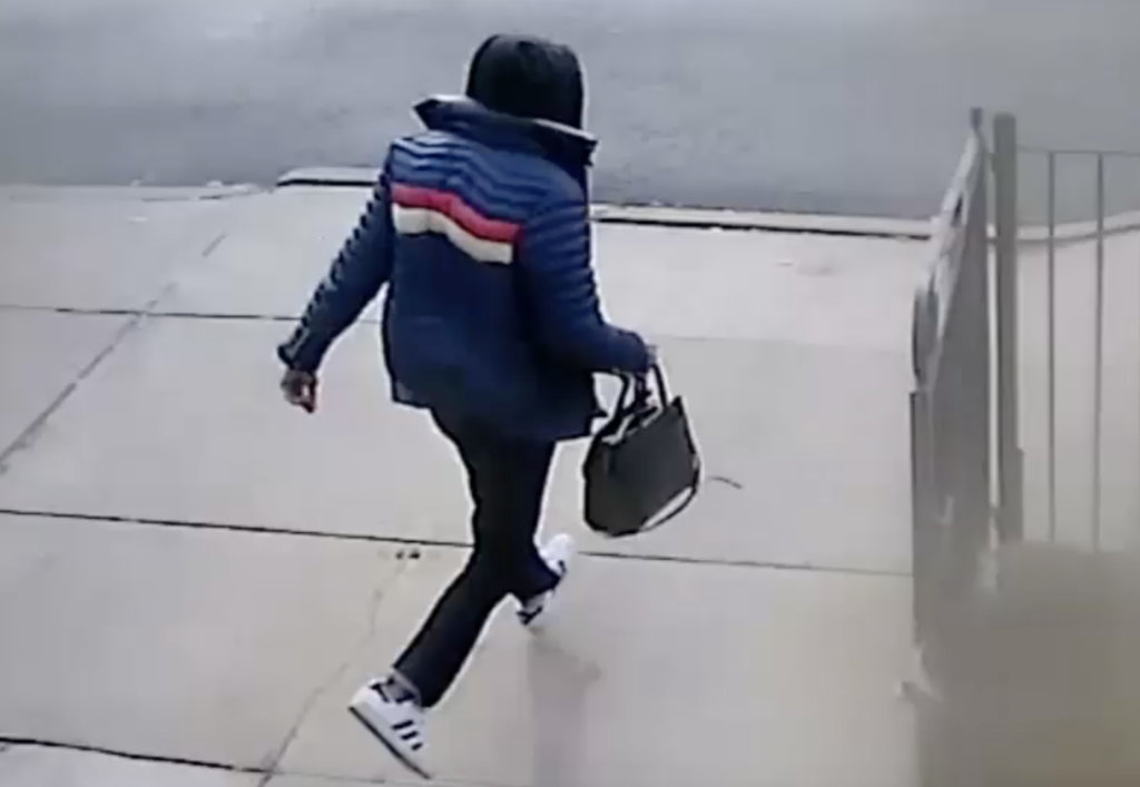 Security cameras in Flushing caught a purse snatcher running away after robbing and assaulting a woman on Jan. 22.