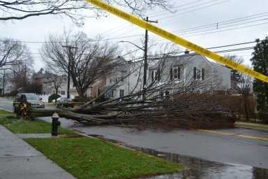 Bayside storm March (1)