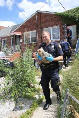 Jackson Heights woman convicted of 108 counts of animal cruelty: DA