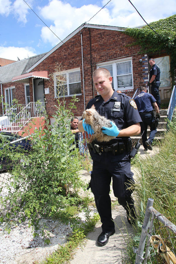 Jackson Heights woman convicted of 108 counts of animal cruelty: DA