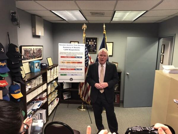 Avella calls Parks Department’s response to tree survey ‘disgraceful’