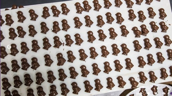 Madelaine Chocolate Company delivers sweet treats for Easter