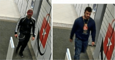 grand larceny 110