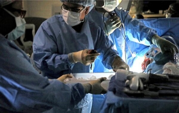 Senate passes Peralta legislation to make organ donor registration easier