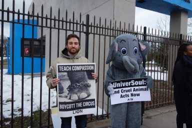 PETA protests UniverSoul Circus at Roy Wilkins Park