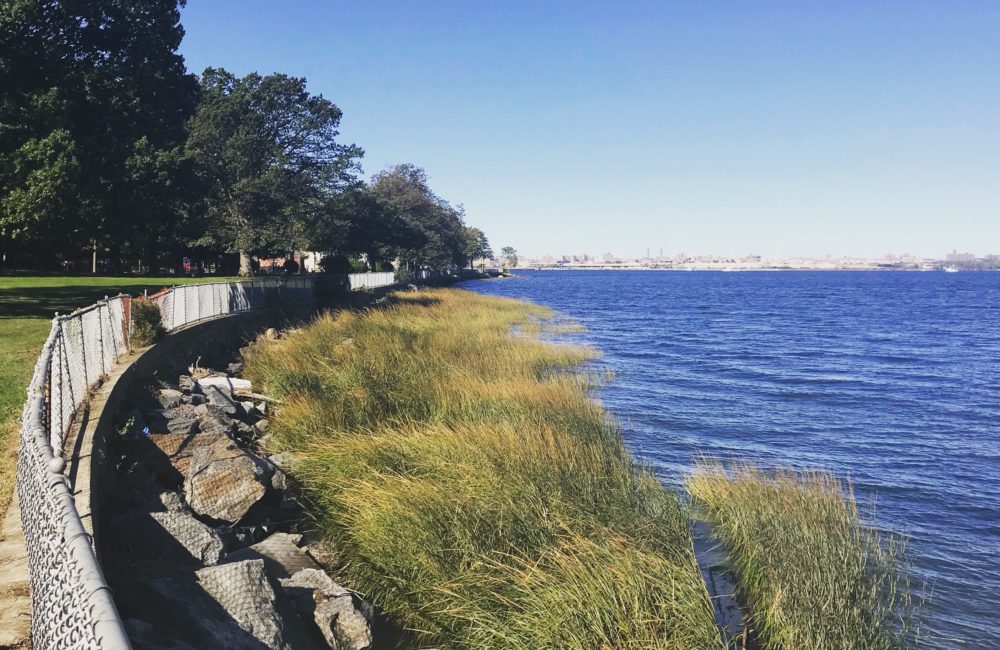 seawall
