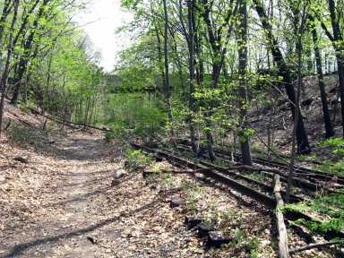 The abandoned Rockaway Beach branch of the Long Island Rail Road, which hasn't seen train service since 1962.