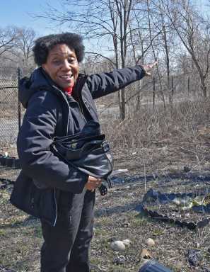 Idlewild Park’s too-tall trees coming down