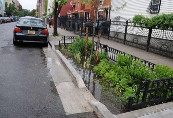 Avella demands opt-out to citywide bioswales program