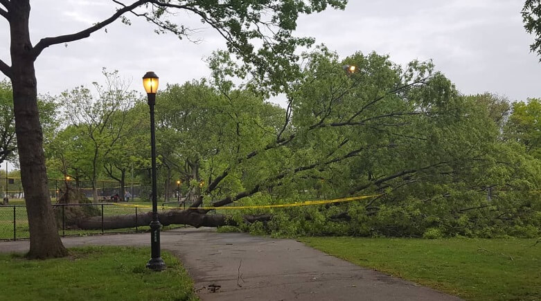 instagram dixie.harper