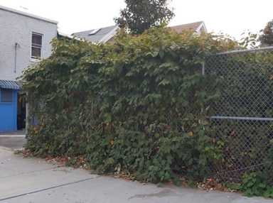 Flushing lot controversy persists