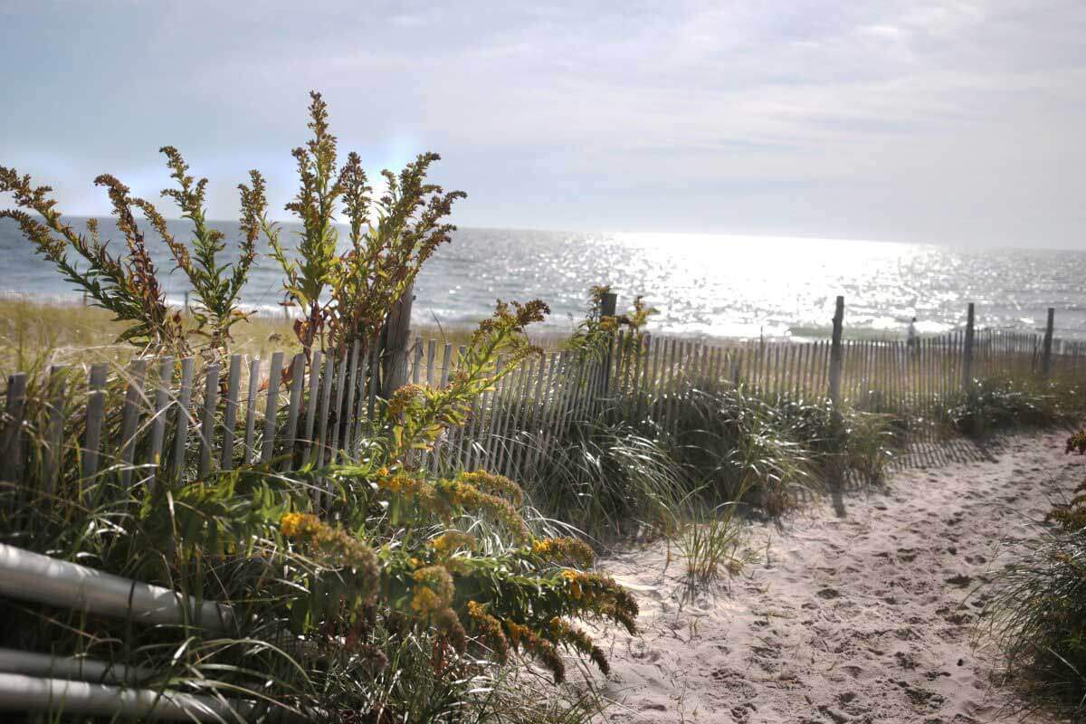 Electeds warn businesses will suffer after city closes section of Rockaway Beach for the summer