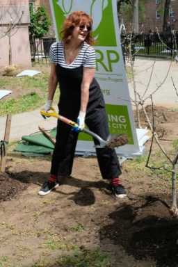 Susan Sarandon returns home to Queens to plant trees