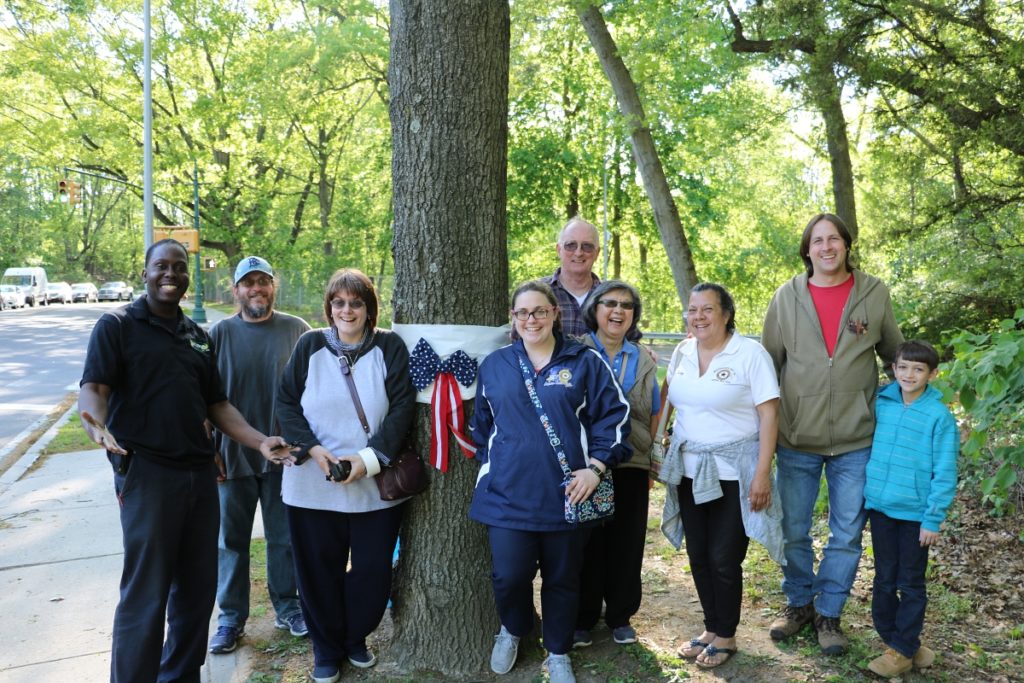 Members of the Woodhaven Cultural and Historical Society standing in front of one of the memorial trees.
