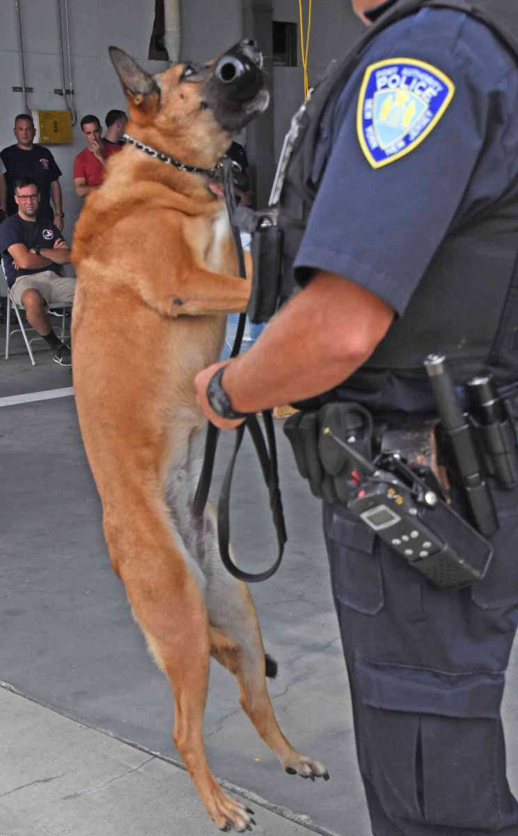 TSA Modernization Act S1872