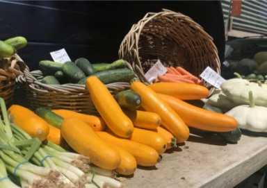 Flushing Greenmarket launches third season at Maple Playground