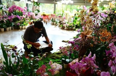 Queens Botanical Garden celebrates Taiwanese culture with orchid exhibit