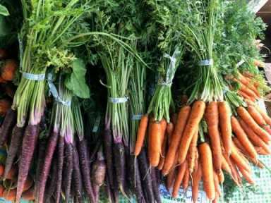 carrots