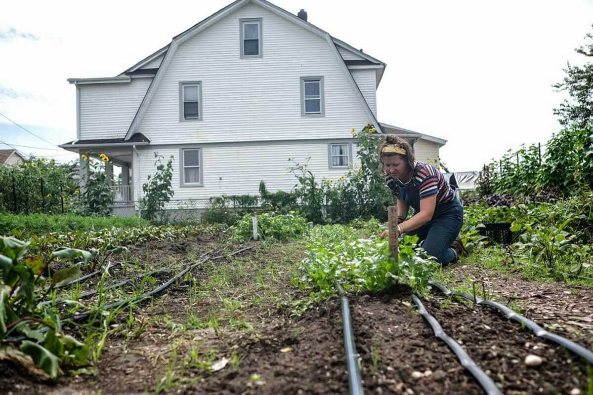 Photos: Down on the farm, Queens-style