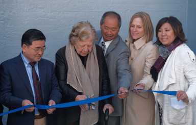 Shulmanribbon