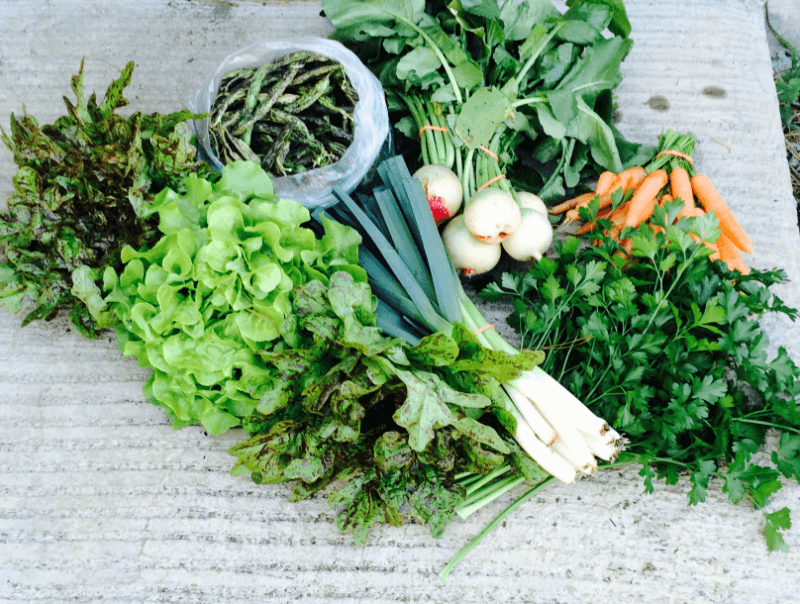 Zero-Waste Thanksgiving