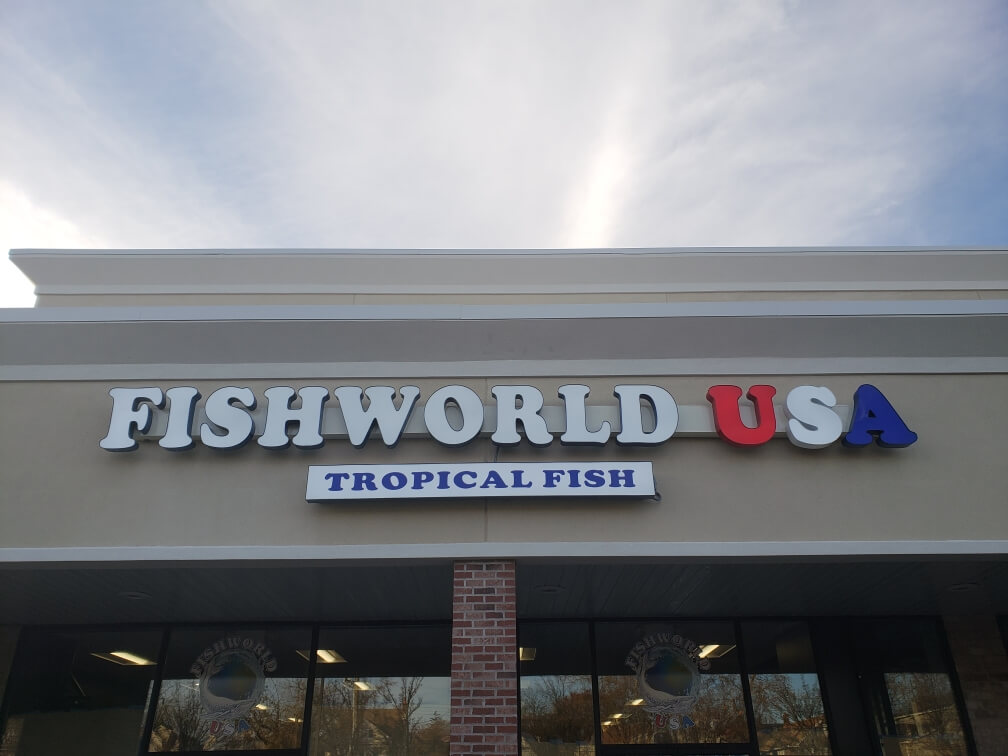 fish stores near me