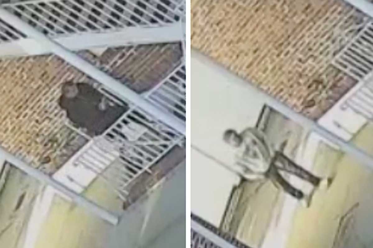 Bayside burglars who stole $18,000 in assorted loot caught on video