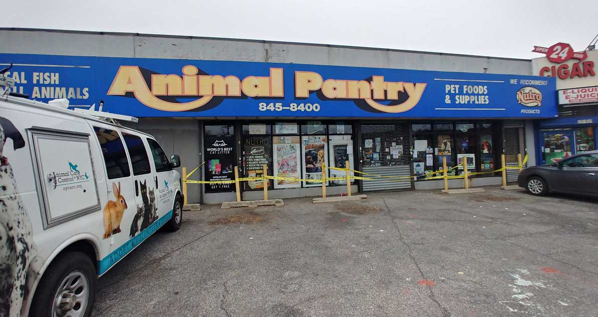 Building Collapse Forces Animal Pantry In Ozone Park To Close