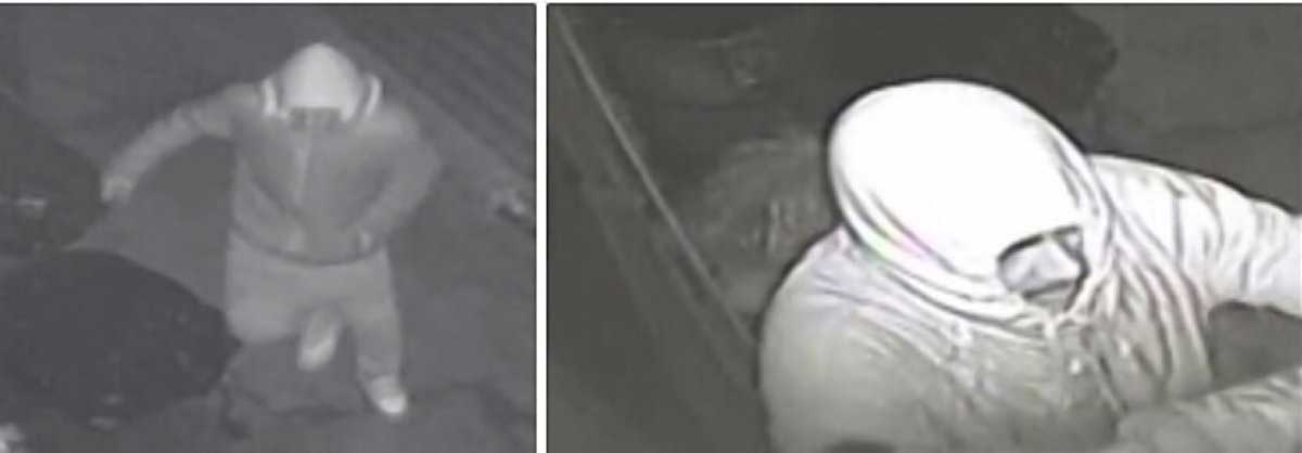 Two burglars sought for stealing cash register at Richmond Hill restaurant: NYPD