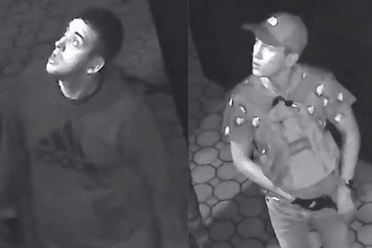 Two men sought for stealing more than $400K in loot in northeast Queens: NYPD
