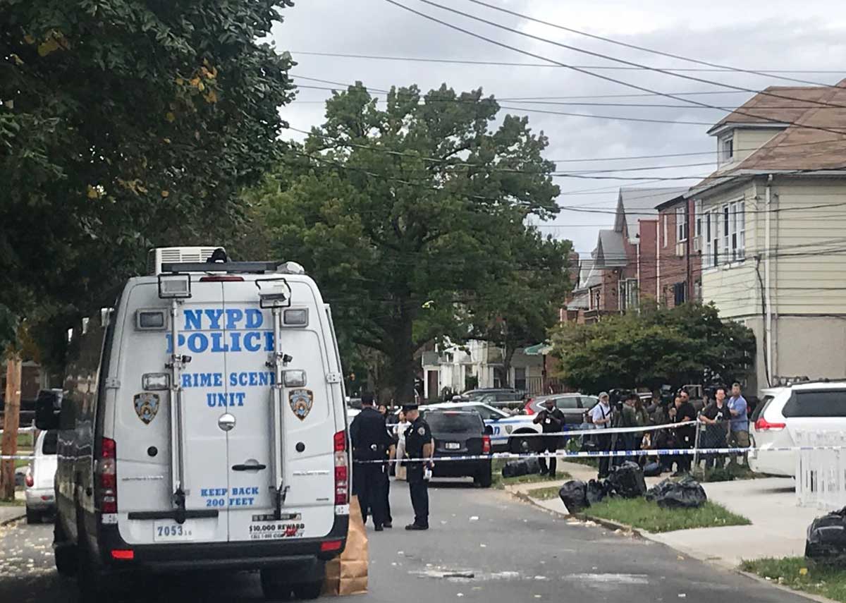Year in Review: School slashing, daycare stabbing, animal cruelty among top Queens capers in 2018