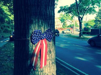 A ribbon around one of the memorial trees in Forest Park