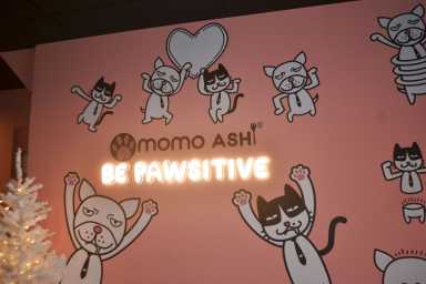 MomoAshi1