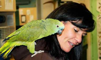 Alley Pond Environmental Center saved wetlands