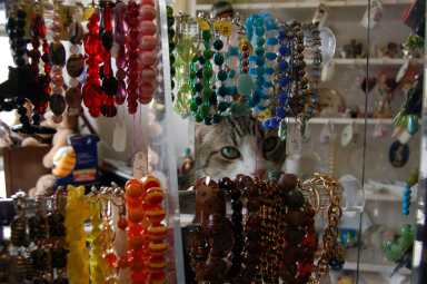 Store donations help animals