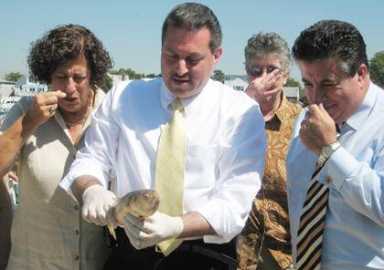 Addabbo wants dead fish inquiry