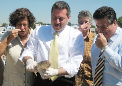 Addabbo wants dead fish inquiry