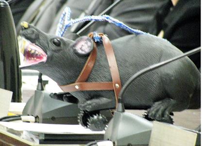 City czar says rat academy ready to root out rodents