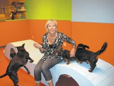 Haven for hounds opens in LIC